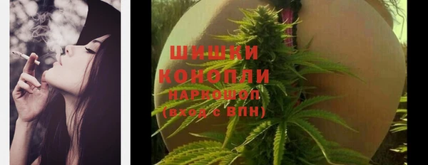 apvp Надым