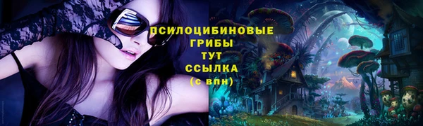 apvp Надым