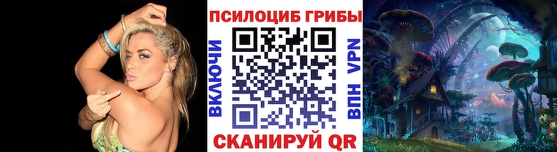 Псилоцибиновые грибы прущие грибы  Купить закладки  Ковров 