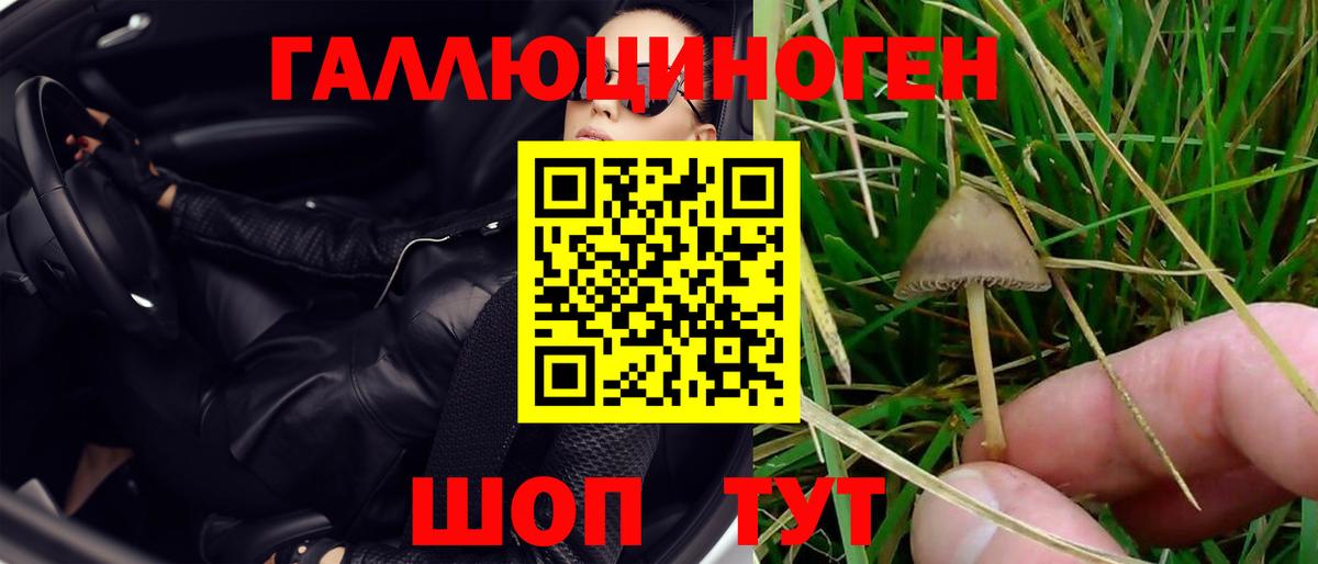 Псилоцибиновые грибы GOLDEN TEACHER Ковров