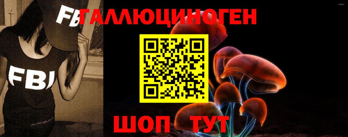 Псилоцибиновые грибы прущие грибы  Вход с VPN  Ковров 