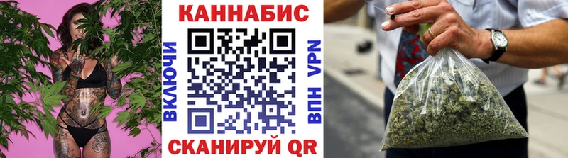Купить закладки  Ковров  Марихуана сатива 